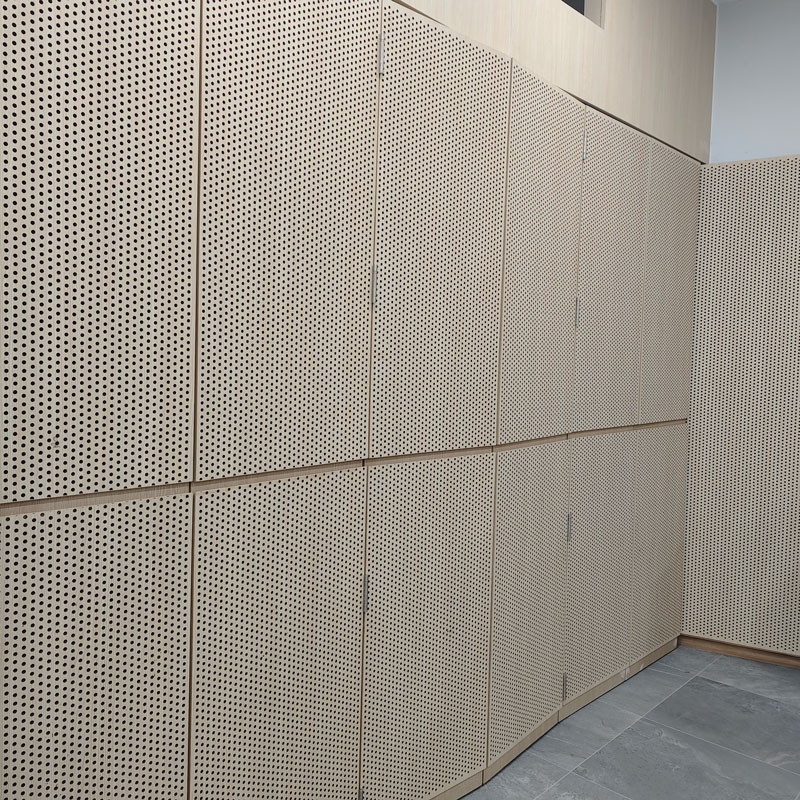 Singapore Public Education Project